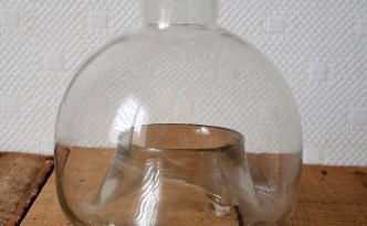 gobe-mouche (3)